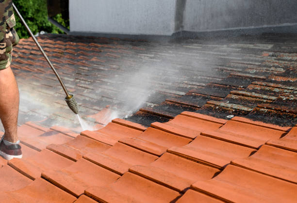 Best Roof Pressure Washing  in Antigo, WI